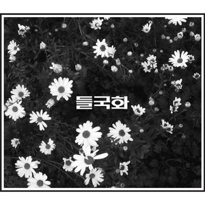 607080老太太老奶奶的收藏特点
