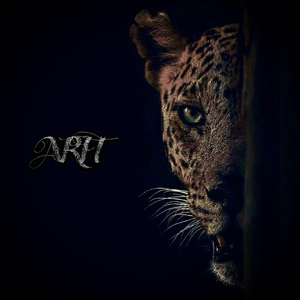 607080老太太老奶奶的收藏特点
